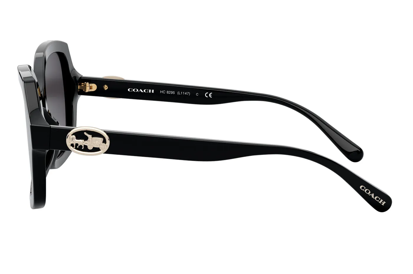Gafas de Sol Coach 0HC8295 Unisex Color Negro